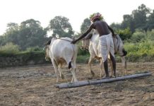 Karnataka government uses Aadhaar to transfer subsidy to one million farmers