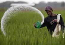 POS machine shortage delaying DBT for fertiliser subsidy