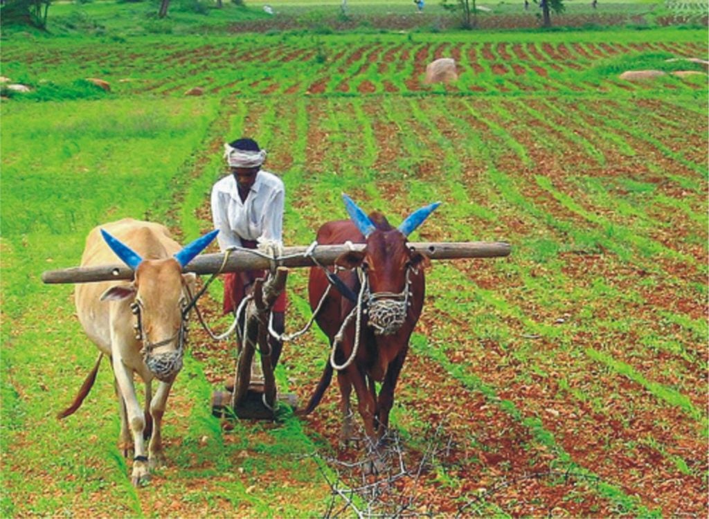 RBI issues Rs 2,600 crore for farmer lending in Telegana