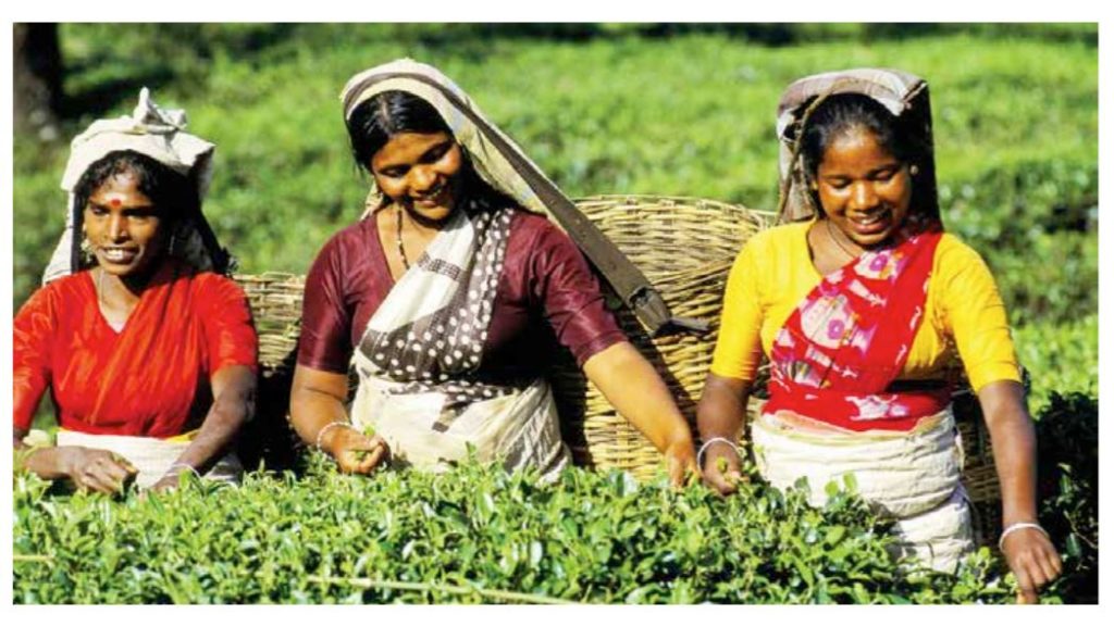 Inclusive Growth in North-East India: The Way Forward Through Alternative Channels of Microfinance