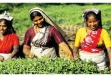 Inclusive Growth in North-East India: The Way Forward Through Alternative Channels of Microfinance North East