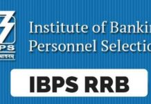 IBPS RRB Admit card released IBPS RRB