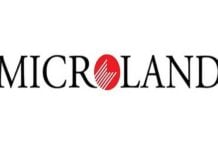 Microland names Anupam Pandey as new Chief Information Officer Microland