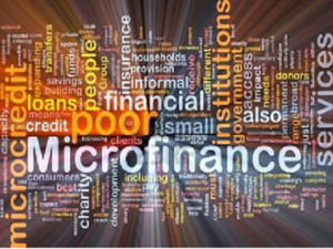 Microfinance loan