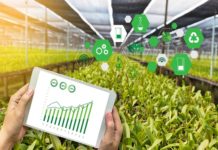 Agritech supply chain Origo performs first securitized transaction in capital markets agritech supply chain