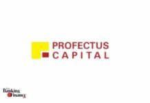 Profectus Capital Q1 results: Net profit up by 146% to Rs 2,363cr Profectus-Capital